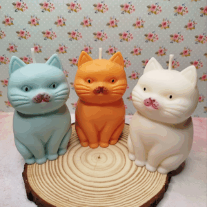 Vela Bigotes Felinos